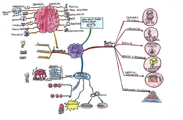 mapa mental técnica estudio